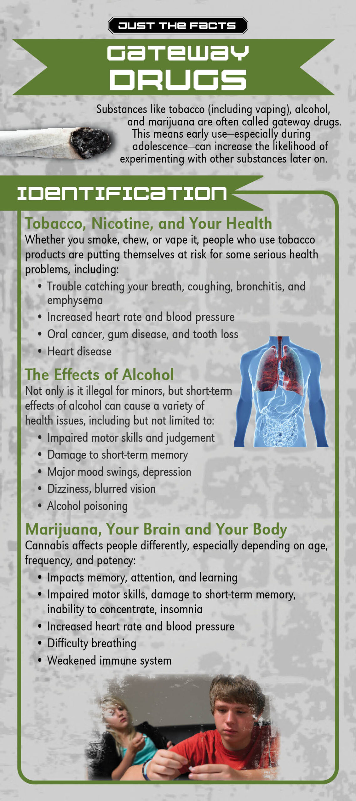 RACK-JTF-112 Gateway Drugs Just the Facts Rack Card: Gateway Drugs - Image 2