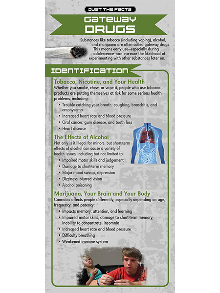RACK-JTF-112 WEB COVER Just the Facts Rack Card: Gateway Drugs