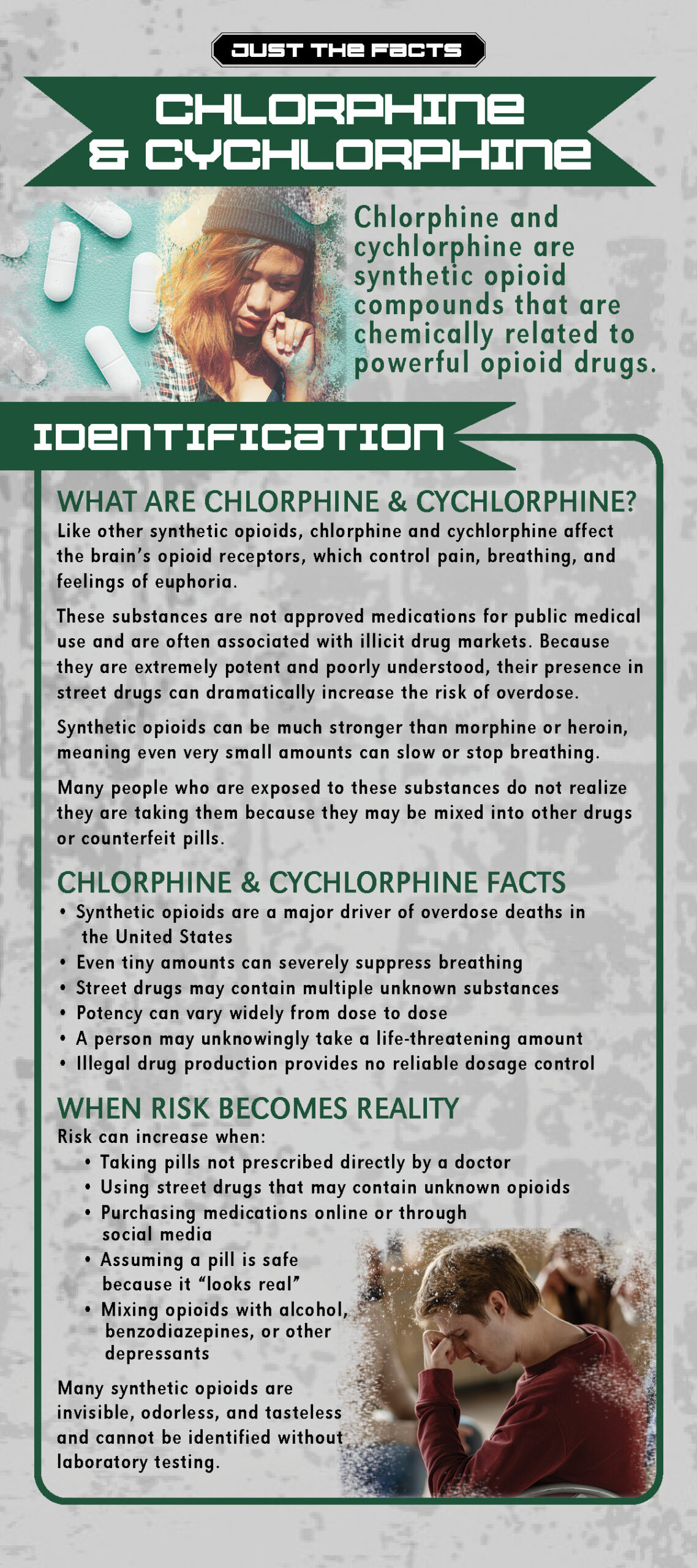 RACK-JTF-116 Chlorphine and Cychlorphine1 Just the Facts Rack Card: Chlorphine & Cychlorphine - Image 2